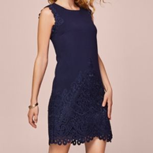 Navy Fitted Sheath Dress Lace Cut out detail